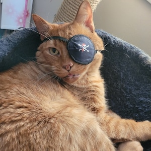 Patch oeil de chat - conceptions personnalisées en tissu de coton