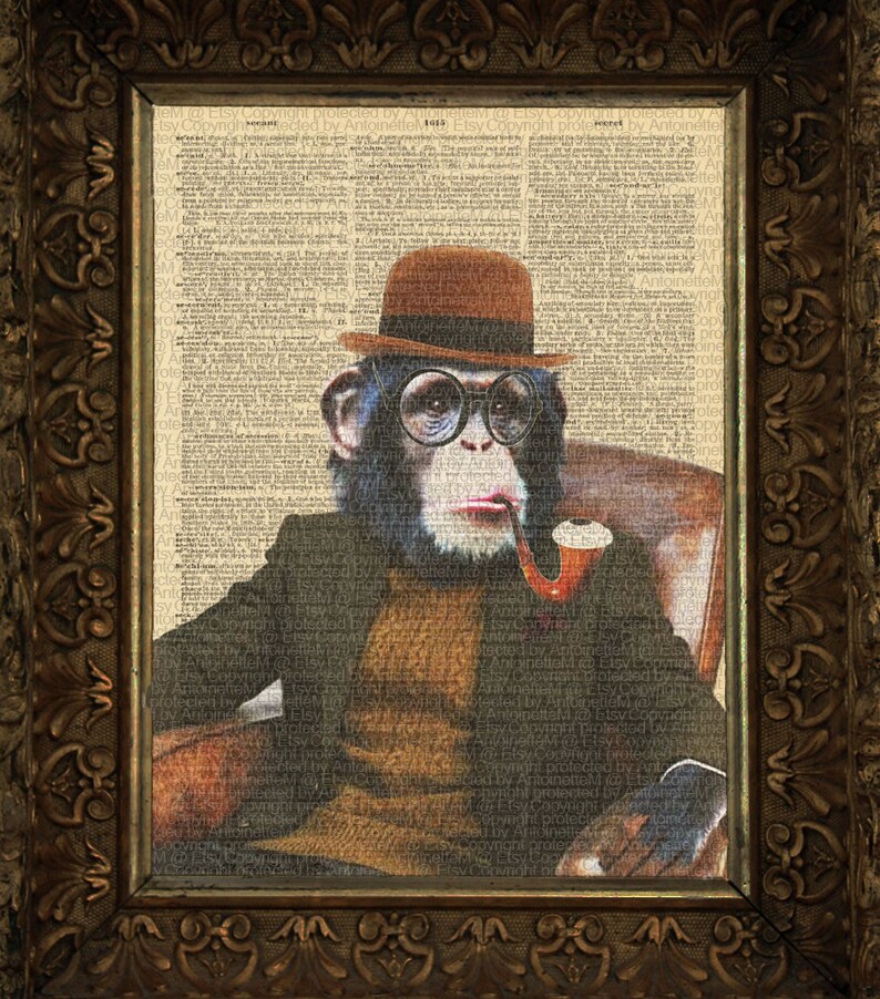 vintage 1971 chimpanzee monkey doctor kendrick universal vintage 1971 chimpanzee monkey doctor kendrick universal