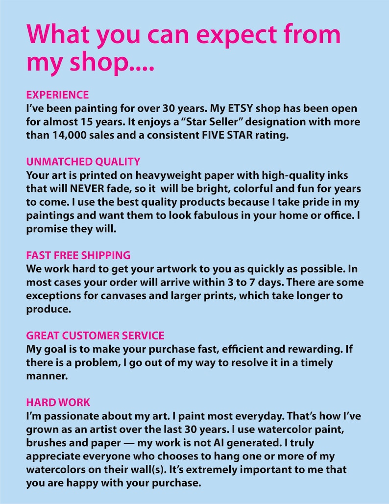 Pu&ograve; includere: Testo su sfondo azzurro chiaro che descrive l'esperienza, la qualit&agrave;, la spedizione, il servizio clienti e il duro lavoro di un negozio Etsy. Il testo include le frasi "What you can expect from my shop..." e "Unmatched Quality".