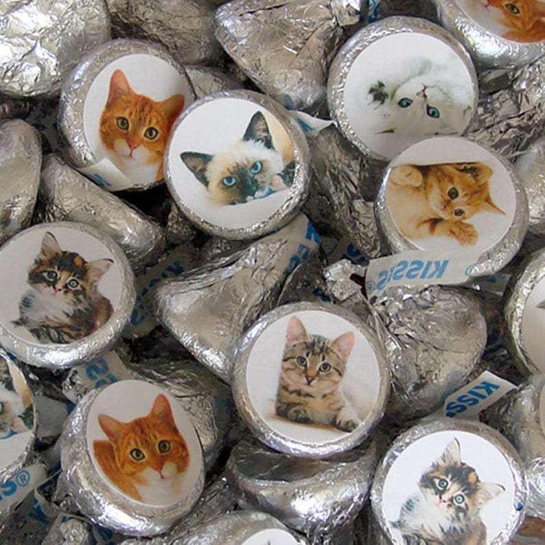 Cat Birthday Kitty Party Candy Labels Kitten Candy Etsy