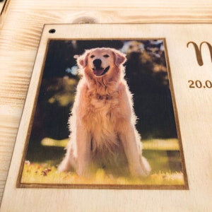 Erinnerungskiste XXL für den Hund mit Foto / Erinnerungskiste für verstorbenes Haustier / Erinnerungskiste Groß aus Holz / Trauerkiste Hund Bild 6