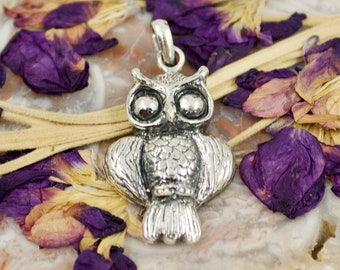 Wide Eyed Sterling Silver Owl Pendant // Owl Jewelry // Silver Jewelry // Sterling Silver // Village Silversmith