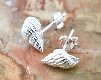 Bittium Shell Stud Earrings // Sterling Silver Earrings // Sterling Silver // Nautical Jewelry // Village Silversmith