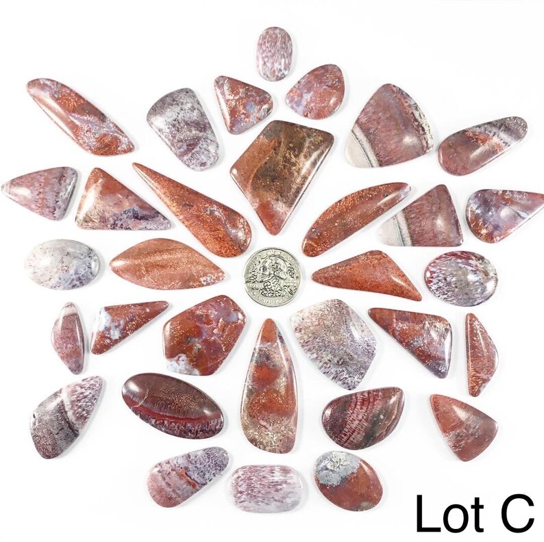 Fossil Palm Wood Cabochons Lots Petrified Wood Cabochon Gems Cabochons Jewelry Making Supplies Village Silversmith