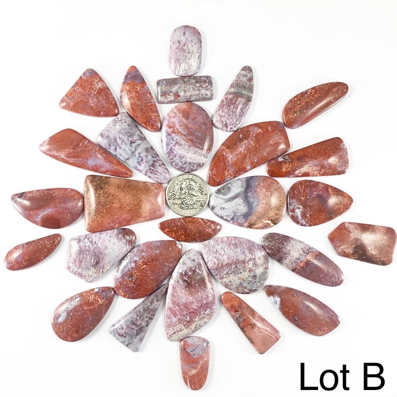 Fossil Palm Wood Cabochons Lots Petrified Wood Cabochon Gems Cabochons Jewelry Making Supplies Village Silversmith