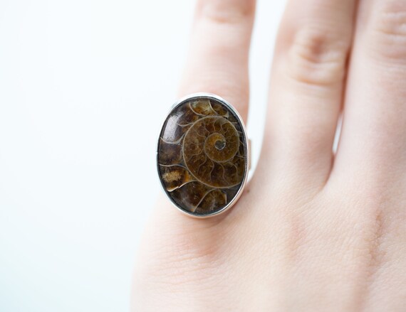 ammonite jewelry