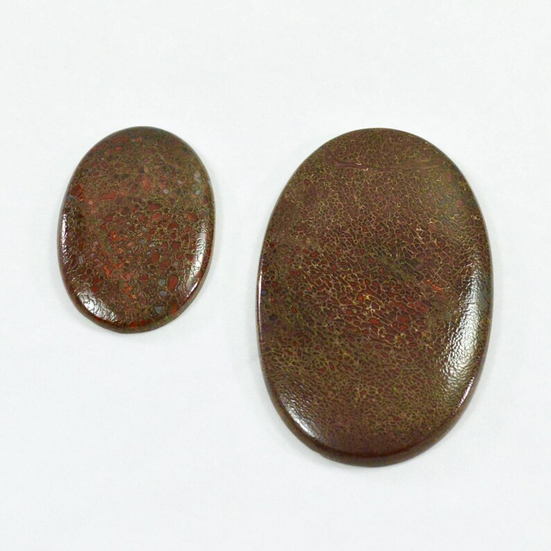 Individual Dinosaur Bone Cabochon Dinosaur Bone Fossil Gems Cabochons Jewelry Making Supplies Village Silversmith
