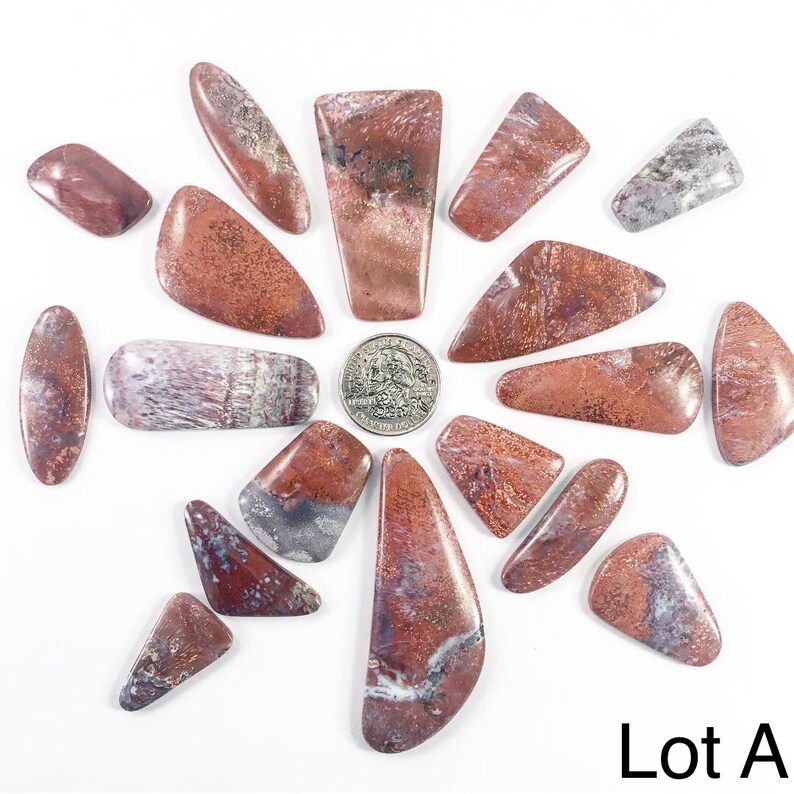 Fossil Palm Wood Cabochons Lots Petrified Wood Cabochon Gems Cabochons Jewelry Making Supplies Village Silversmith