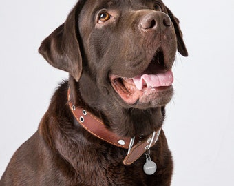 Engraved Pet ID Tag: Electroplated Brass Dog Tag, Personalized Keychain