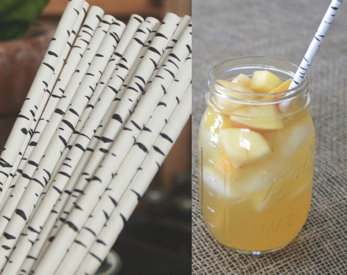 Birch Tree Paper Straws Set of 20 Etsy