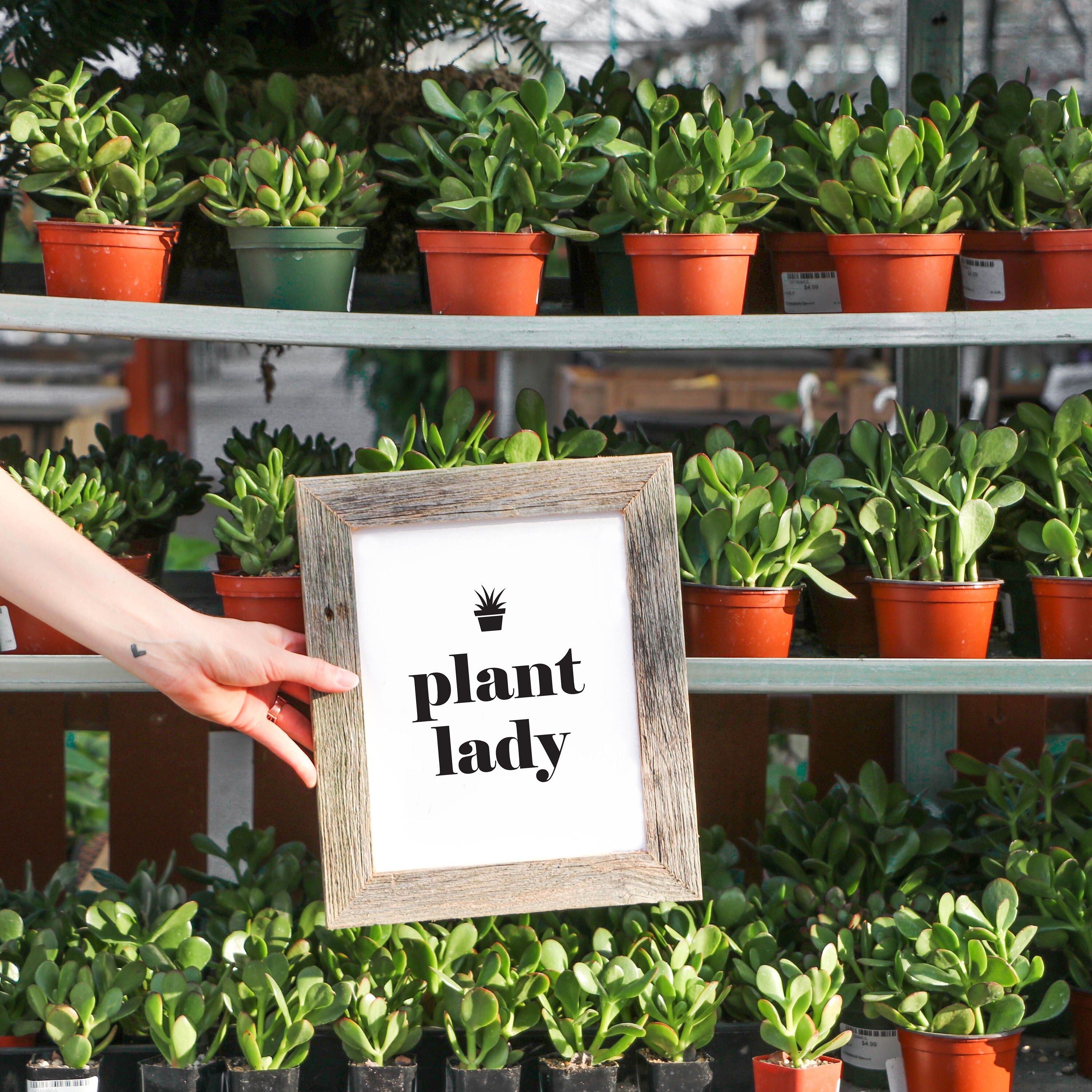 Plant Lady Print Gardening Gift Cactus Print Succulent Etsy