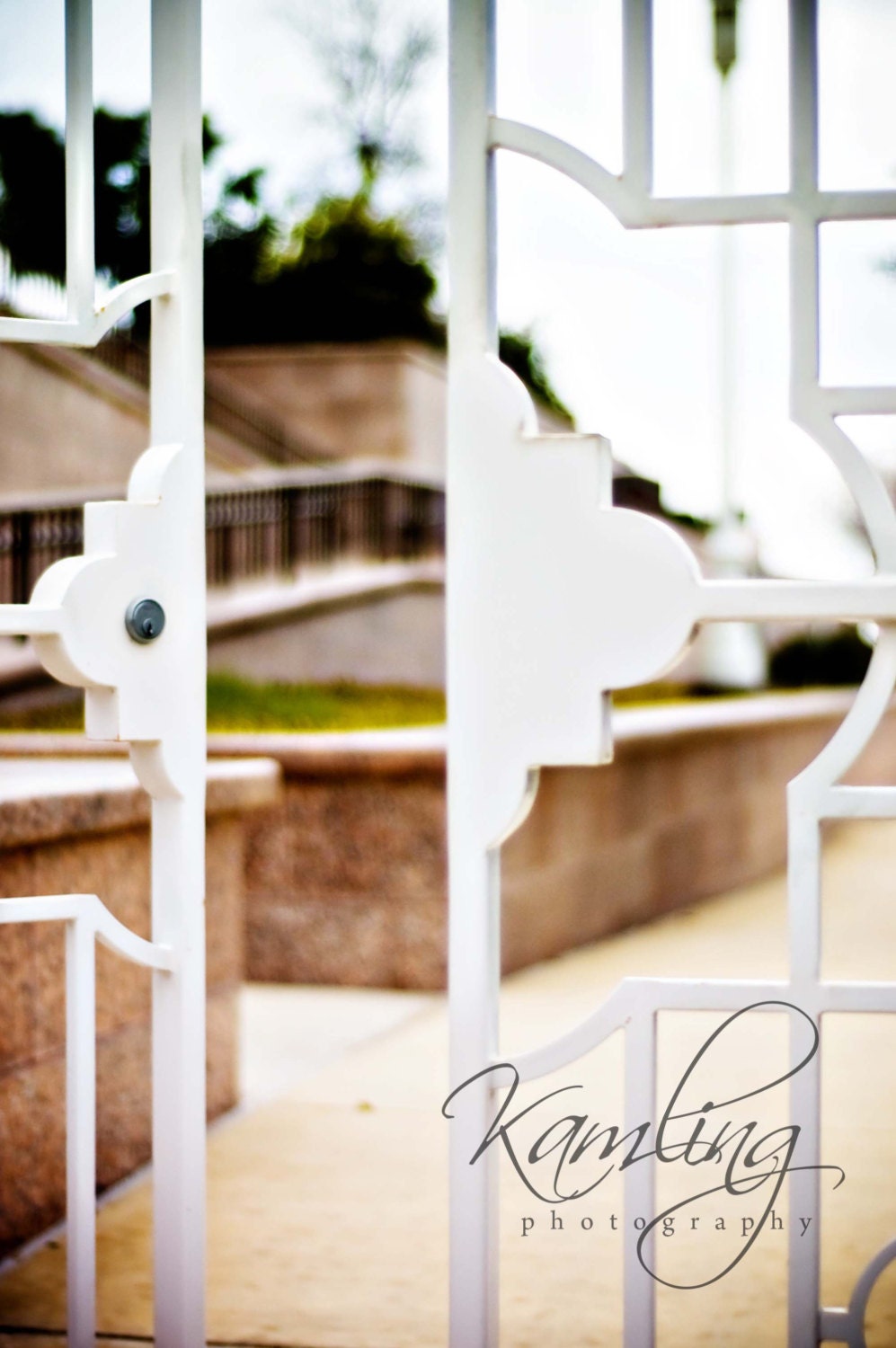 Open Gate San Antonio Tx Lds Temple Digital Photography Download