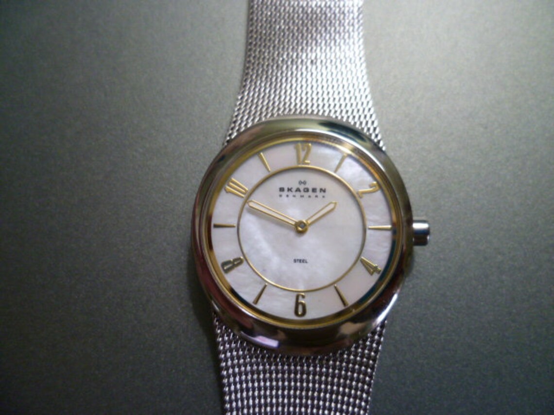 Ladies Skagen Denmark Steel Skagen - Etsy