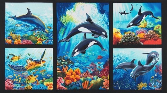 ocean life under the