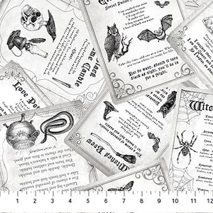 Spellbound - All Over Sayings -  White Background Fabric -  100% Quilting Cotton Fabric [[by the half yard]]