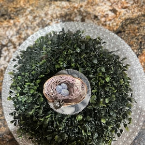 Seashell Trinket Dish, Decorative Seashell dish, coastal decor, beach decor, handmade, unique gift
