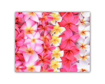 Plumeria Wall Art Etsy