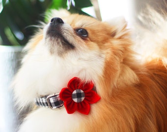 Dog Collar with Flower Bow for Girl Boy Personalized Engraved, Collar + Leash,  All Metal Buckle