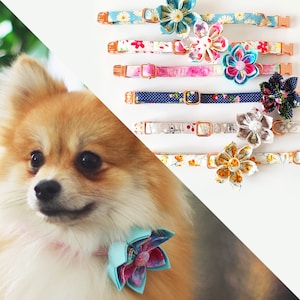 Personalized Dog Collar with Flower, Floral Dog Collar Engraved, Flower + Leash
