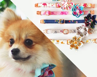 Personalized Dog Collar with Flower, Floral Dog Collar Engraved, Flower + Leash
