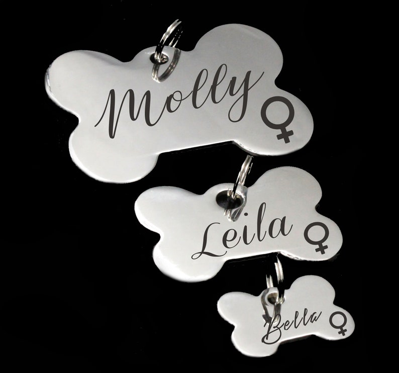Girl Female Dog Tag Custom Dog Tag Personalized Dog ID Tag Etsy