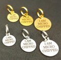 Tiny Microchipped Dog Tag 10 mm 12 mm 15 mm, Microchip Cat Tag, Custom Engraved Stainless Steel Pet Tag product logo