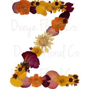 Pressed Flower Letter Z (digital download)
