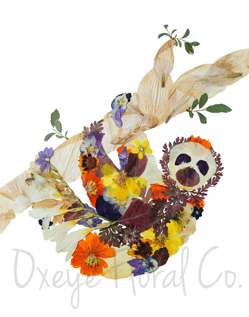 Pressed Flower Sloth Print image 2