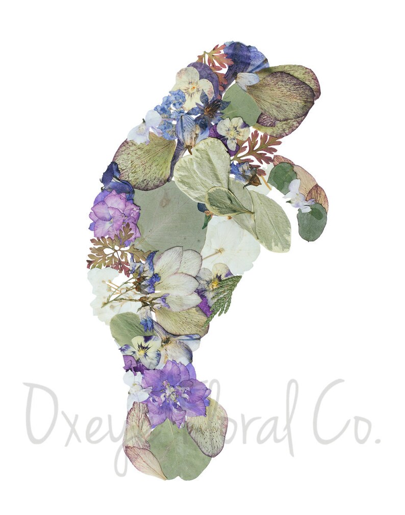 May include: A manatee silhouette created with pressed flowers and leaves. The flowers are in shades of purple, blue, white, and green.