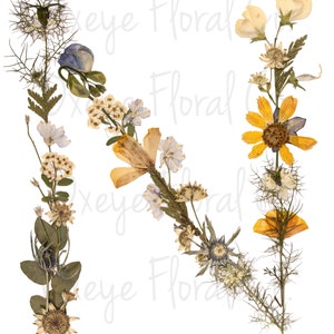 Letra N de flor prensada (download digital)
