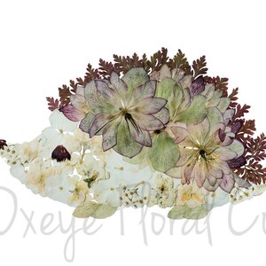 Pressed Flower Hedgehog Print image 3