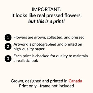 May include: A black and white text graphic with the words "IMPORTANT: It looks like real pressed flowers, but this is a print!"  The graphic lists three steps: 1. Flowers are grown, collected, and pressed. 2. Artwork is photographed and printed on high-quality paper. 3. Each print is checked for quality to maintain a realistic look. The graphic also states "Grown, designed and printed in Canada. Print only - frame not included."