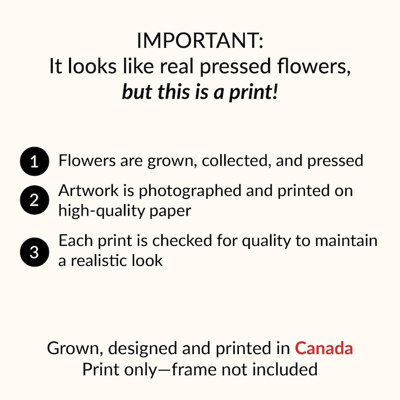 May include: A black and white text graphic with the words "IMPORTANT: It looks like real pressed flowers, but this is a print!"  The graphic lists three steps: 1. Flowers are grown, collected, and pressed. 2. Artwork is photographed and printed on high-quality paper. 3. Each print is checked for quality to maintain a realistic look. The graphic also states "Grown, designed and printed in Canada. Print only - frame not included."