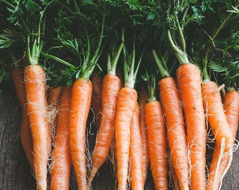 Carrots Still Life Food Photography, Large Wall Art Kitchen Decor Dining Room Decor Restaurant Decor, Home Decor Farmers' Market Photography