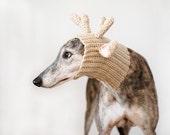 Cuadro de Greyhound, fotografía de perro, Galgo fotografía, Galgo atigrado, regalo galgo, Galgo Rescue