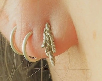 Little cedar earrings. Silver cedar stud earrings. Cedar earrings from botanical jewelry. Silver woodland earrings. Cedar leaf earrings
