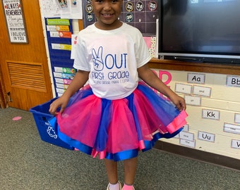 Pink and Blue Girl Ribbon Trim Tutu