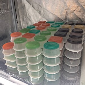 40 piece agar “THE BIG ONE”