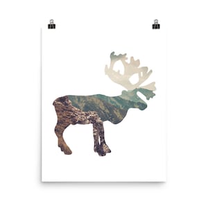 Caribou Poster