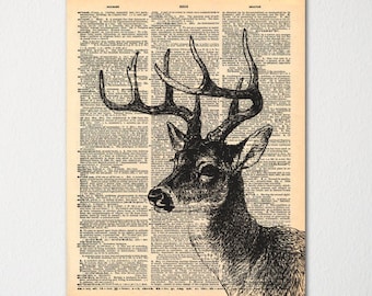 Diccionario de ciervos arte impresión / Vintage diccionario papel