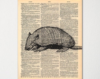 Armadillo Dictionary Art Print / Vintage Dictionary Paper