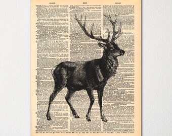 Diccionario de ciervos arte impresión / Vintage diccionario papel