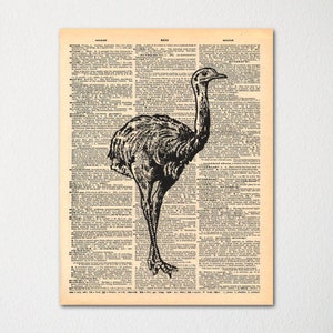 Ostrich Dictionary Art Print / Vintage Dictionary Paper