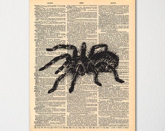 Tarantula Dictionary Art Print / Vintage Dictionary Paper