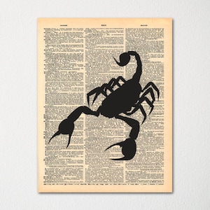 Scorpion Dictionary Art Print / Vintage Dictionary Paper