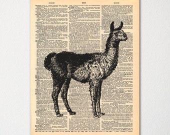Stampa artistica di lucertola dizionario d'epoca dizionario carta