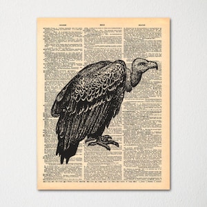 Vulture Dictionary Art Print / Vintage Dictionary Paper