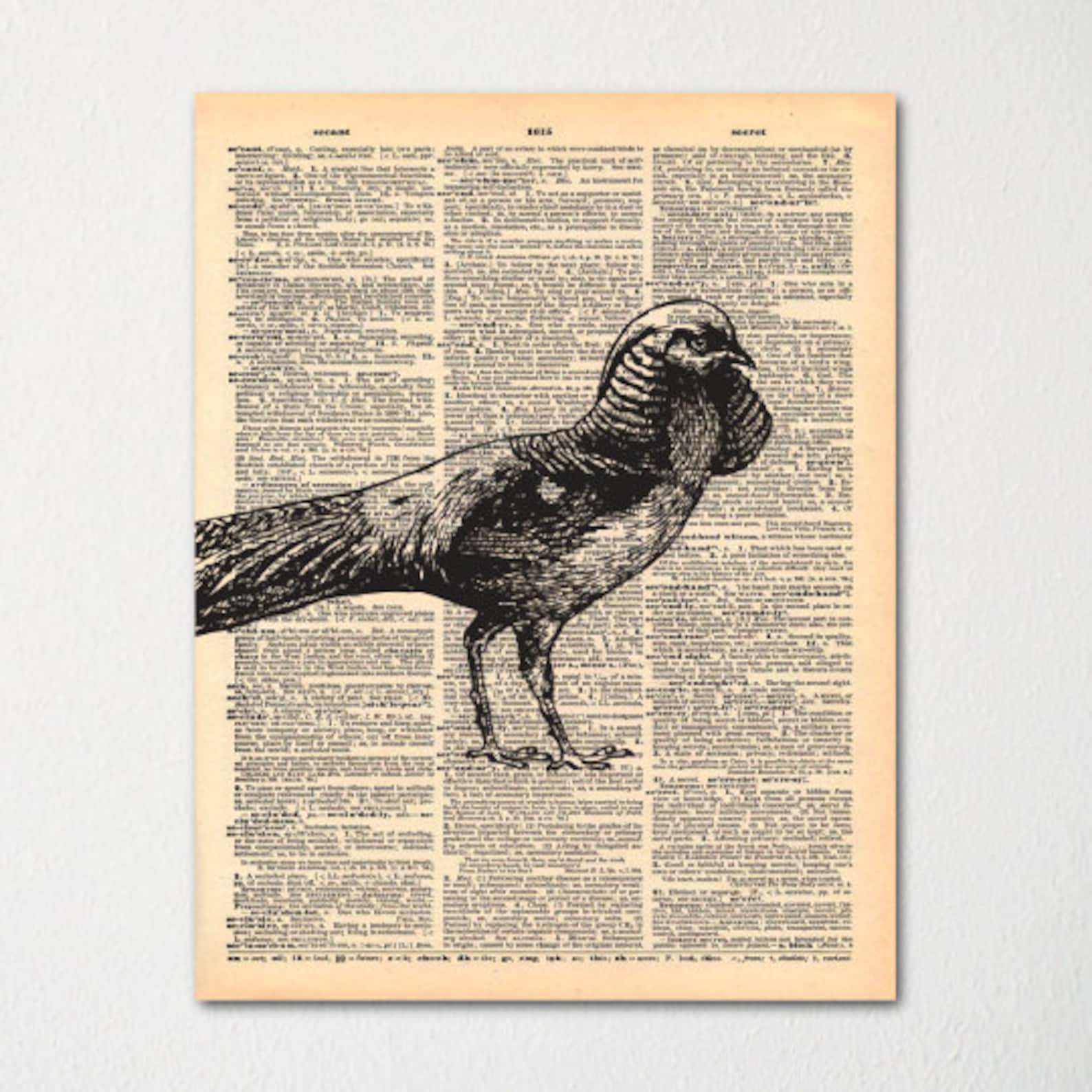 Bird Dictionary Art Print / Vintage Dictionary Paper Etsy