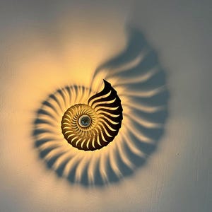 Mała lampa akcentowa, lampa cieniowa Nautilus, drewno, lakierowane na kolor, nowoczesna lampa ścienna, lampa sufitowa, śródziemnomorska i przytulna