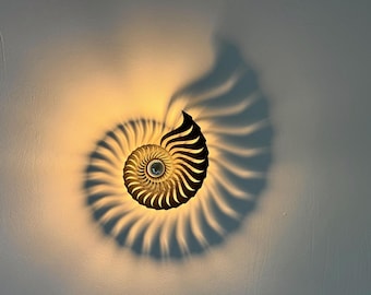 Walllamp , ceiling lamp, nautilus shadow